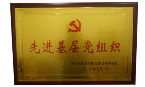 先进基层党组织